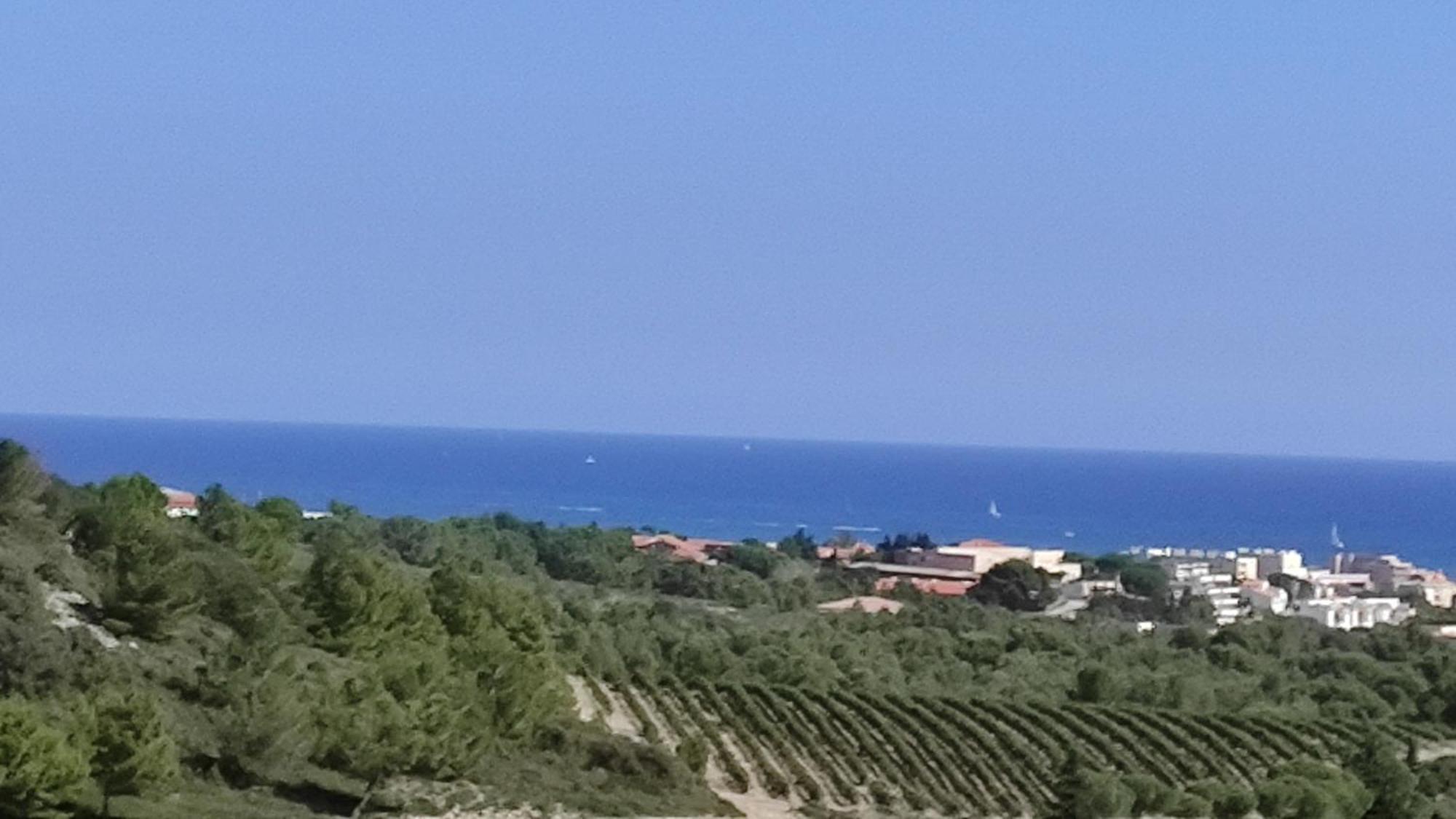 36 2 L'Air Marin Maison Duplex Grande Terrasse Narbonne Eksteriør billede